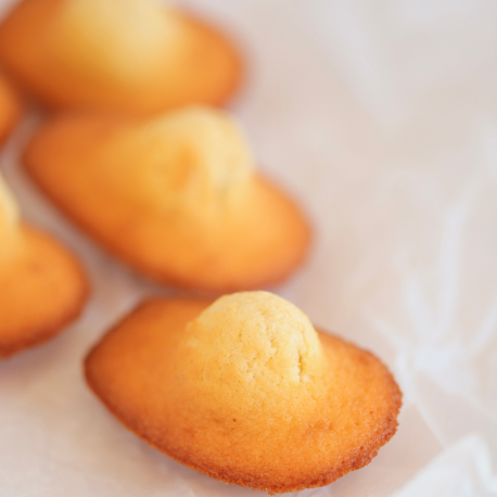 Madeleine
