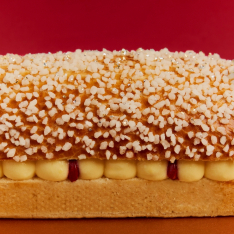 Bûche Tropézienne Fruits des Bois